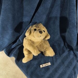 FAO Schwartz Plush Golden Labrador Puppy